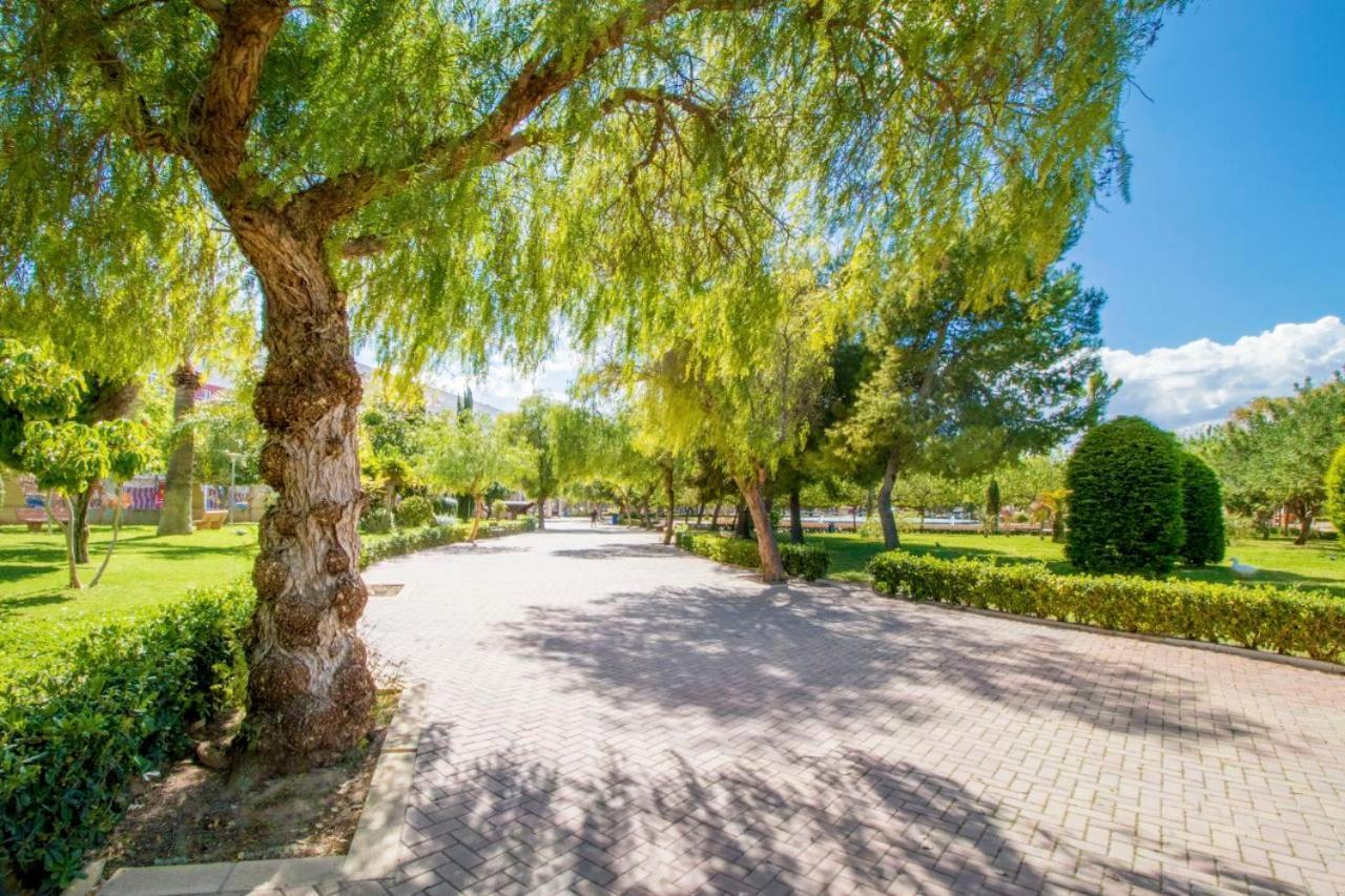 Apartamentos Villa Madrid 또레비에하 외부 사진